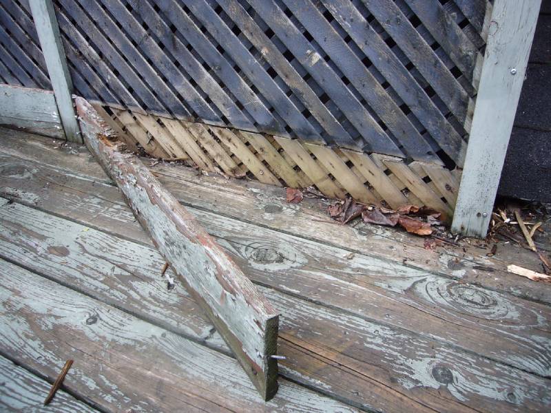 Deck board and lattice sitting in contact with the ground beside a house