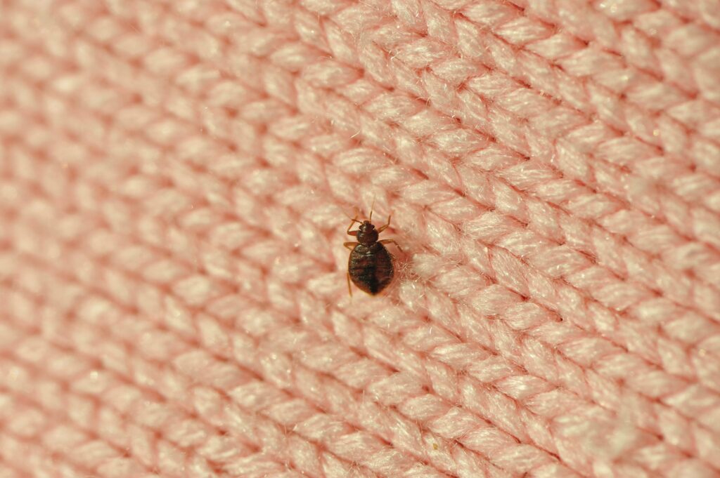 Stewart Termite and Pest Control