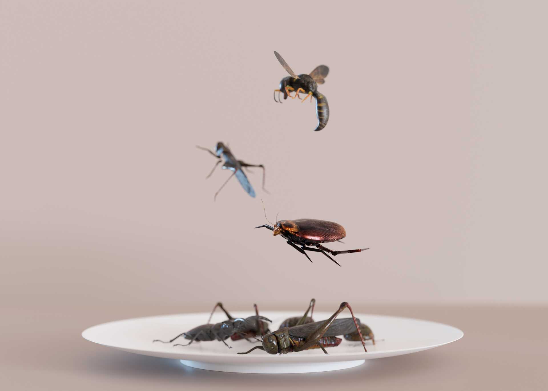 Plate displaying various pests including cockroaches, crickets, and flying insects, illustrating common winter pests that require control in Pittsburgh.