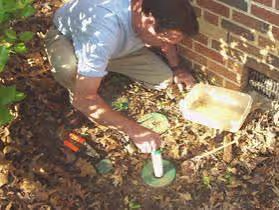 Technician pulling the monitoring cartridge from an in-ground termite bait station beside a brick foundation