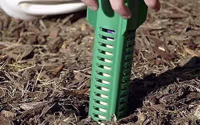 Green in-ground termite bait station being placed in mulched soil beside a home
