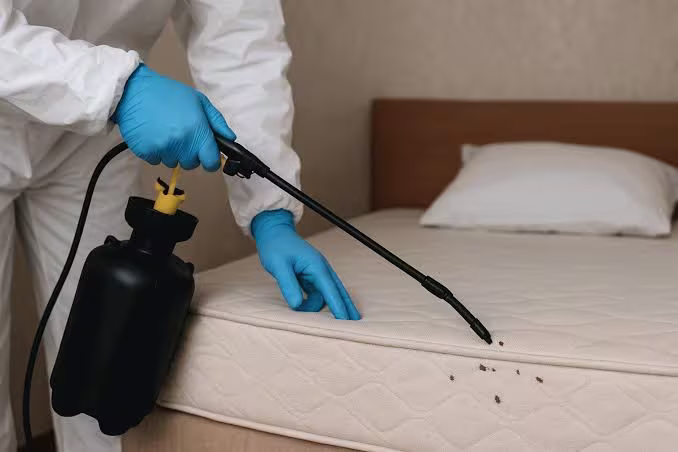 Technician in blue gloves applying bed bug treatment to a mattress, with bugs and dark spotting visible on the surface