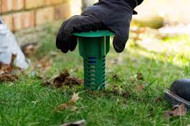 Gloved hand placing a green termite bait station into the lawn near a house